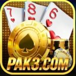 PAK3 Casino Game